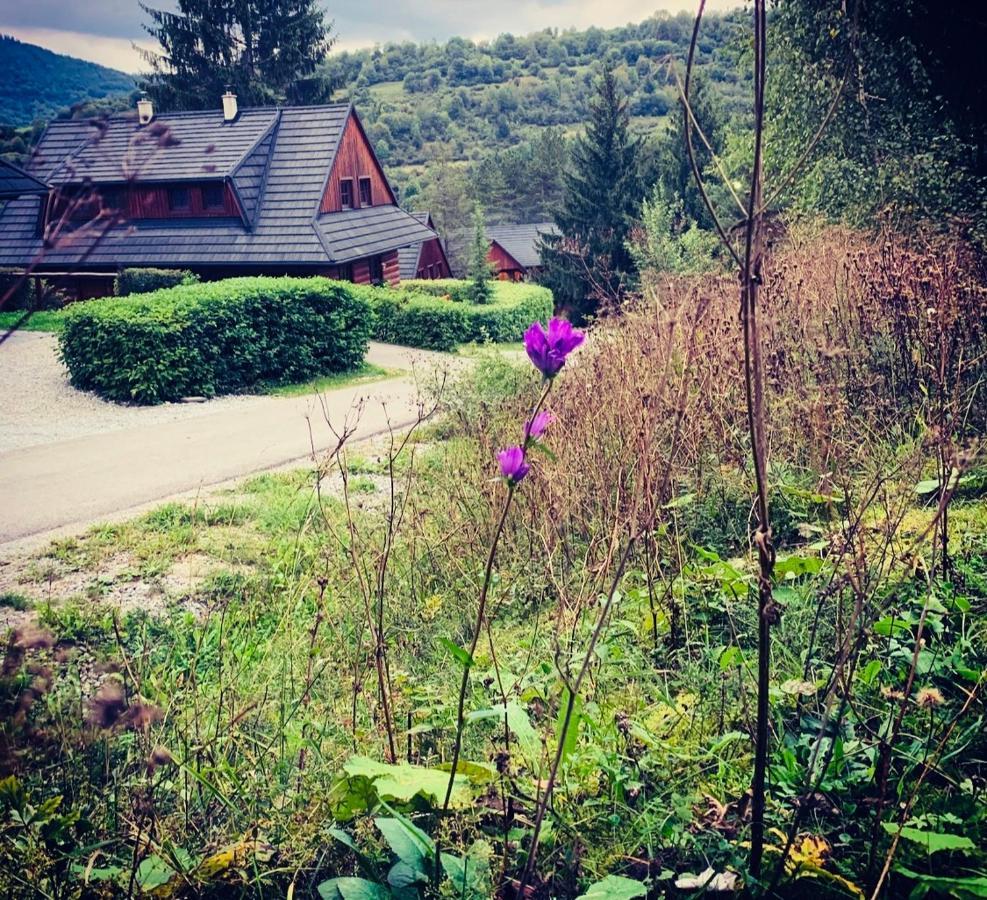 Drevenica Uhorcik Villa Terchova Luaran gambar