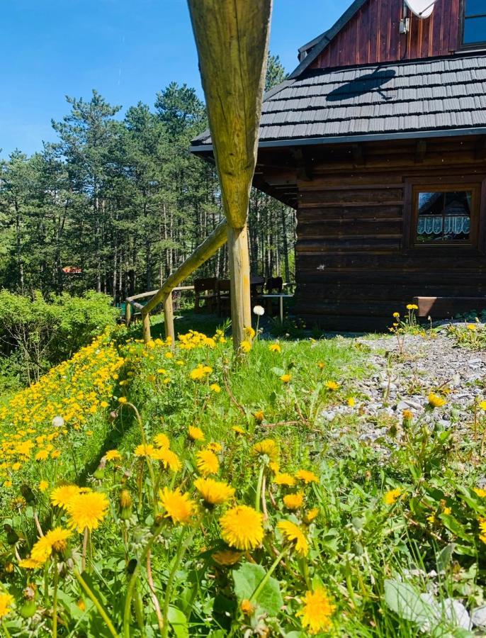 Drevenica Uhorcik Villa Terchova Luaran gambar